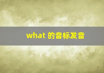 what 的音标发音